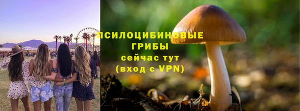 СК Михайловск