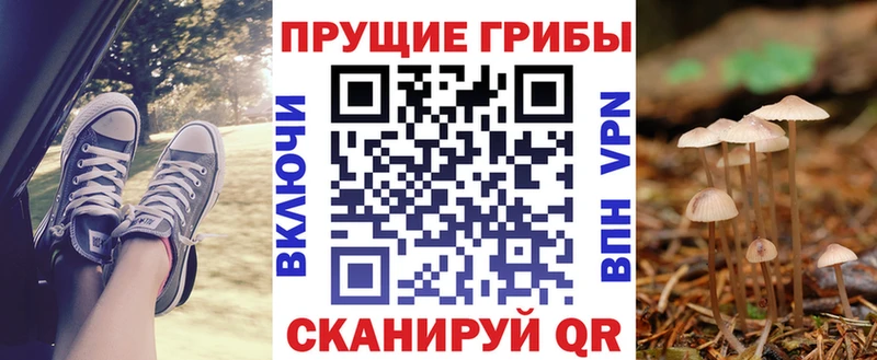 Галлюциногенные грибы Psilocybe  Купить закладки  Воронеж 